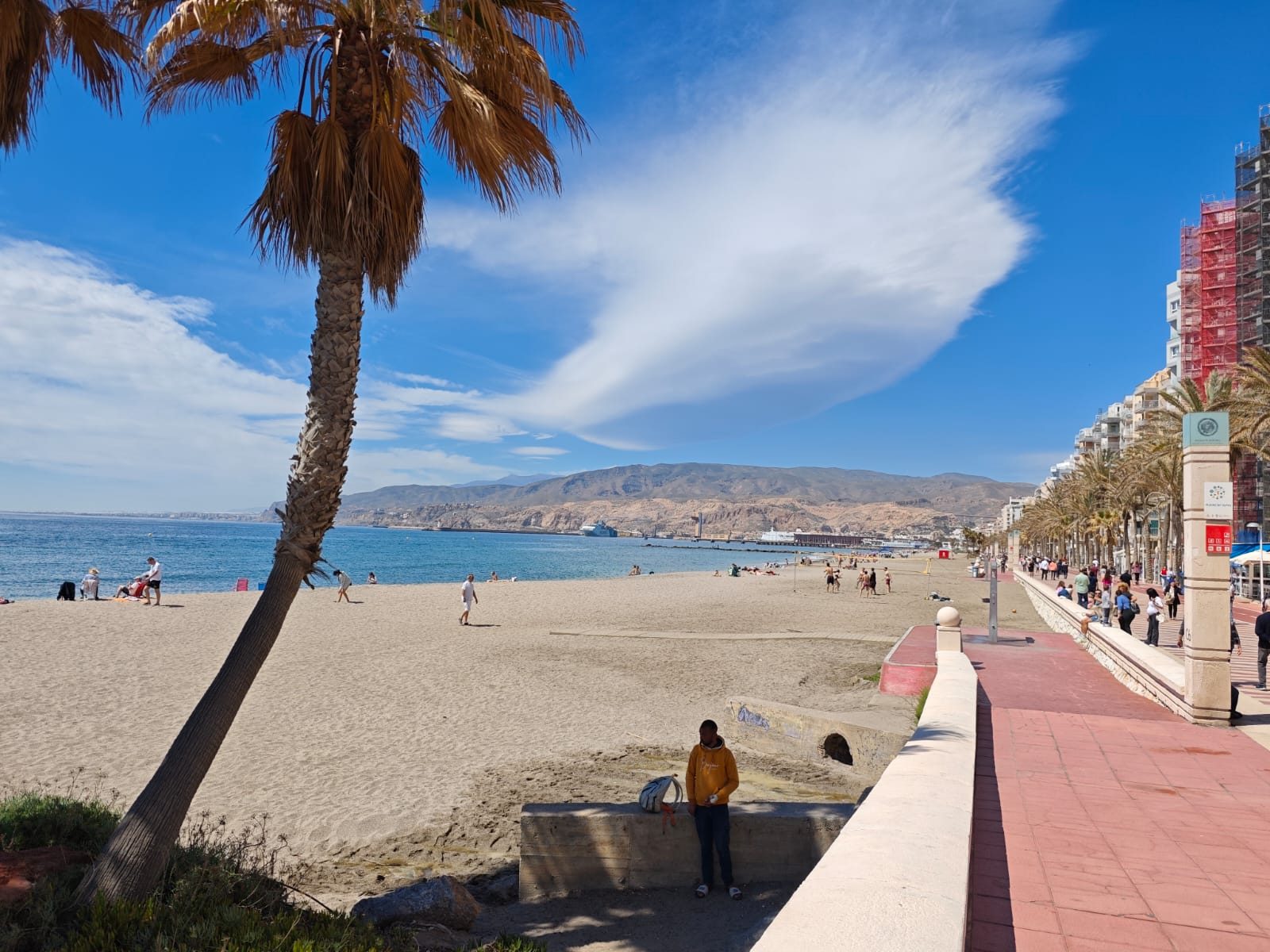 Paseo junto a la playa en Almería con palmeras y mar