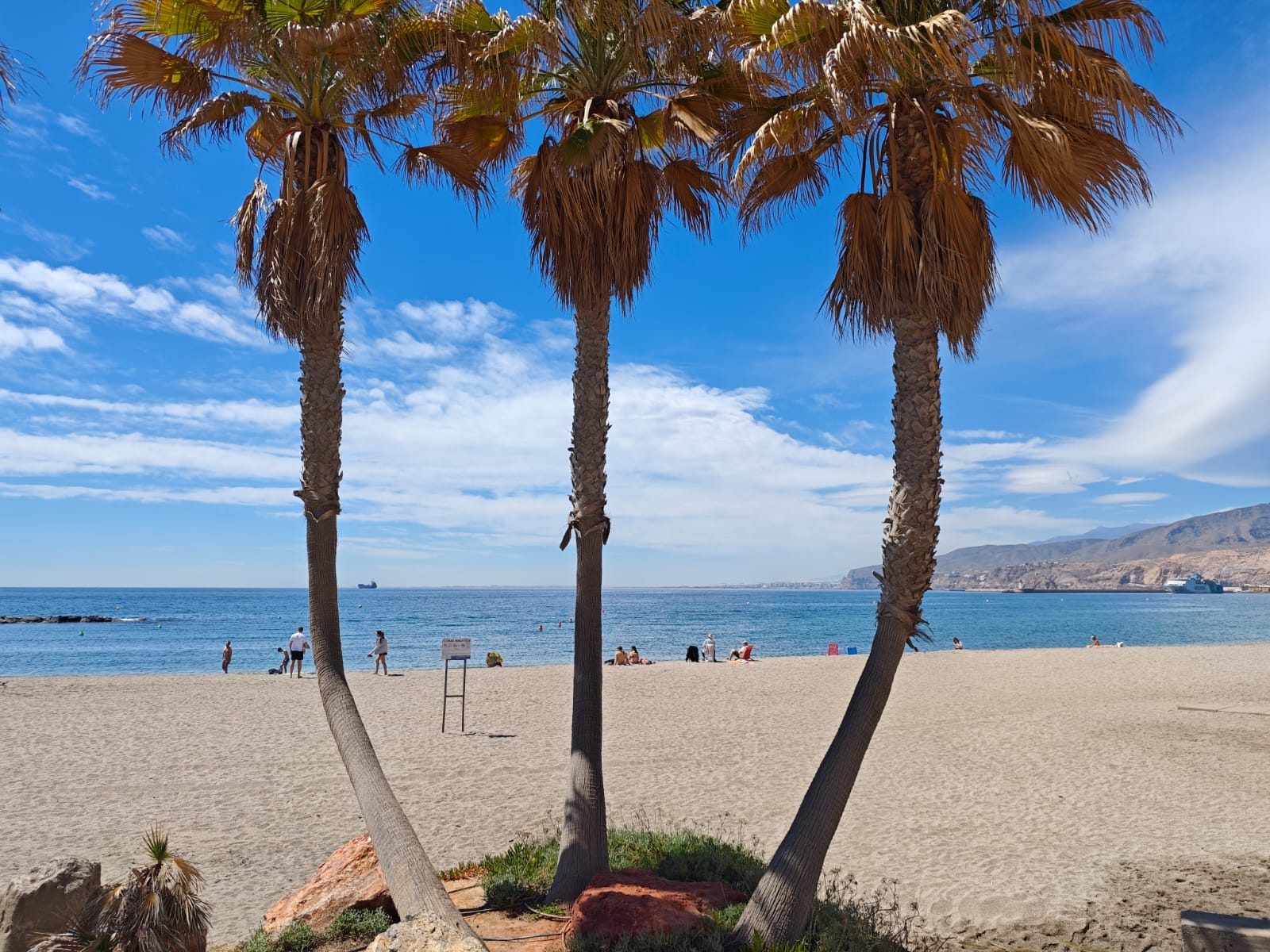 Playa con palmeras y mar en Almería